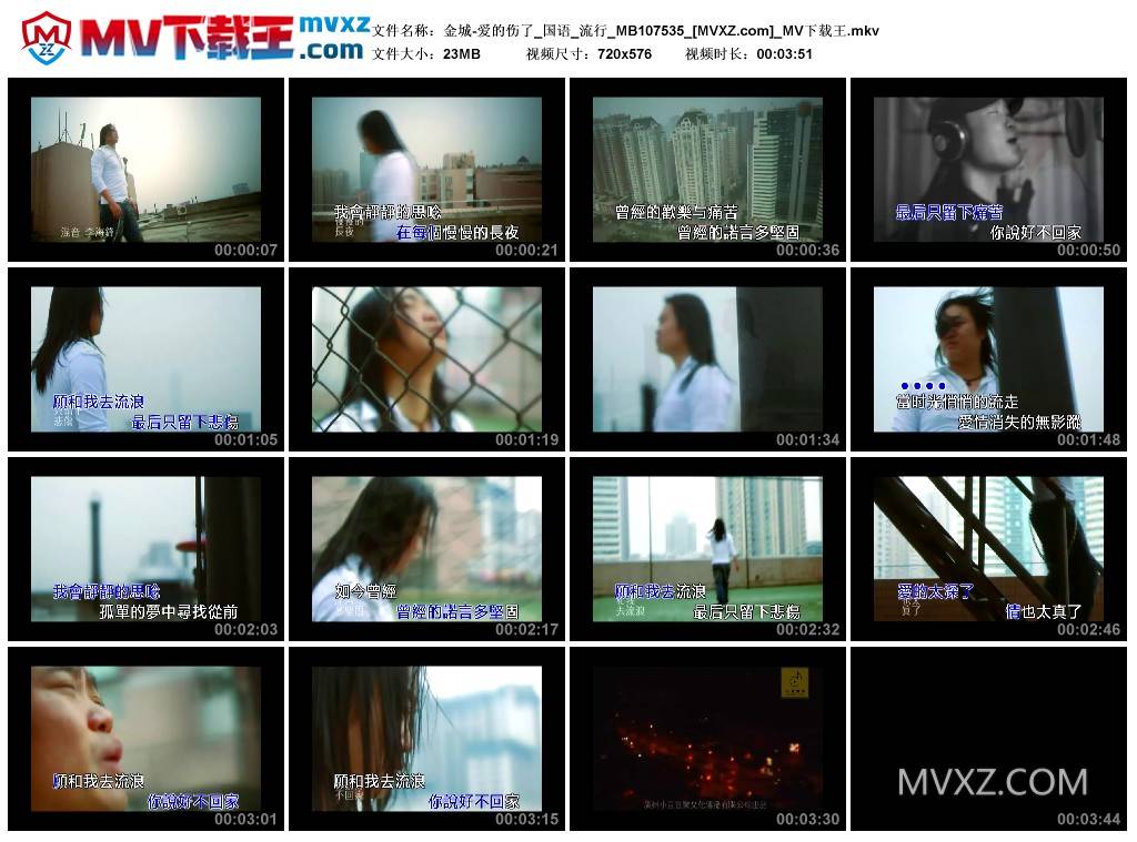 金城-爱的伤了_国语_流行_MB107535